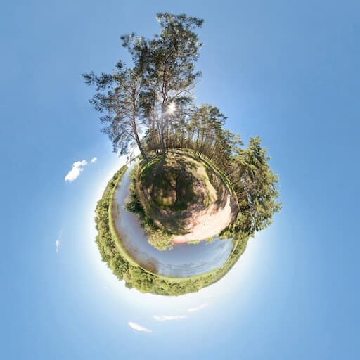 360 Grad Video Beispiel: Wald.