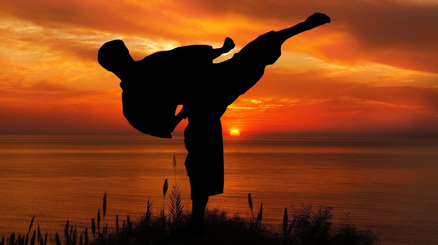 Ein klassisches Motiv des Karatefilms: Eine Silhouette eines Karatekämpfers vor einem Sonnenuntergang, der einen hohen Fußtritt, Mawashi-Geri Jodan, ausführt.
