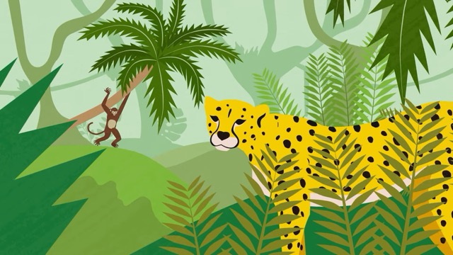WWF